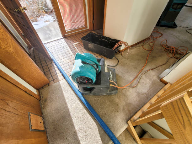 Best Commercial water damage restoration  in Aurora, IL
