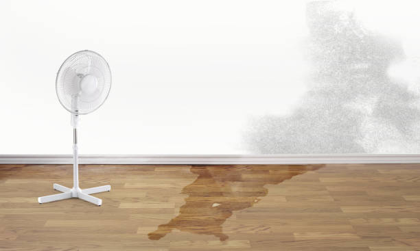 Best Sewage cleanup and water damage restoration  in Aurora, IL