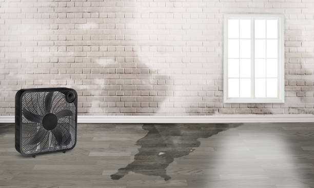 Best Fire Damage Restoration  in Aurora, IL
