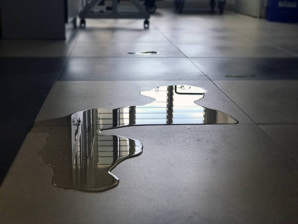 Best Water damage restoration near me  in Aurora, IL