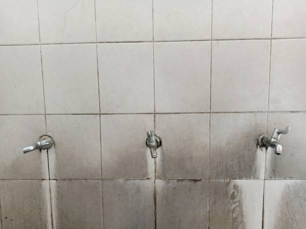 Best Professional water damage repair  in Aurora, IL