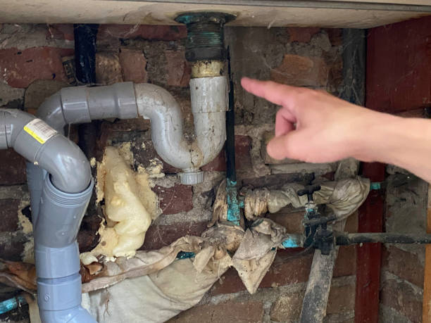 Best Carpet water damage restoration  in Aurora, IL